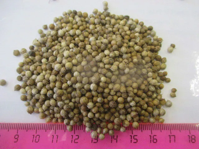 фотография продукта кориандр семя 