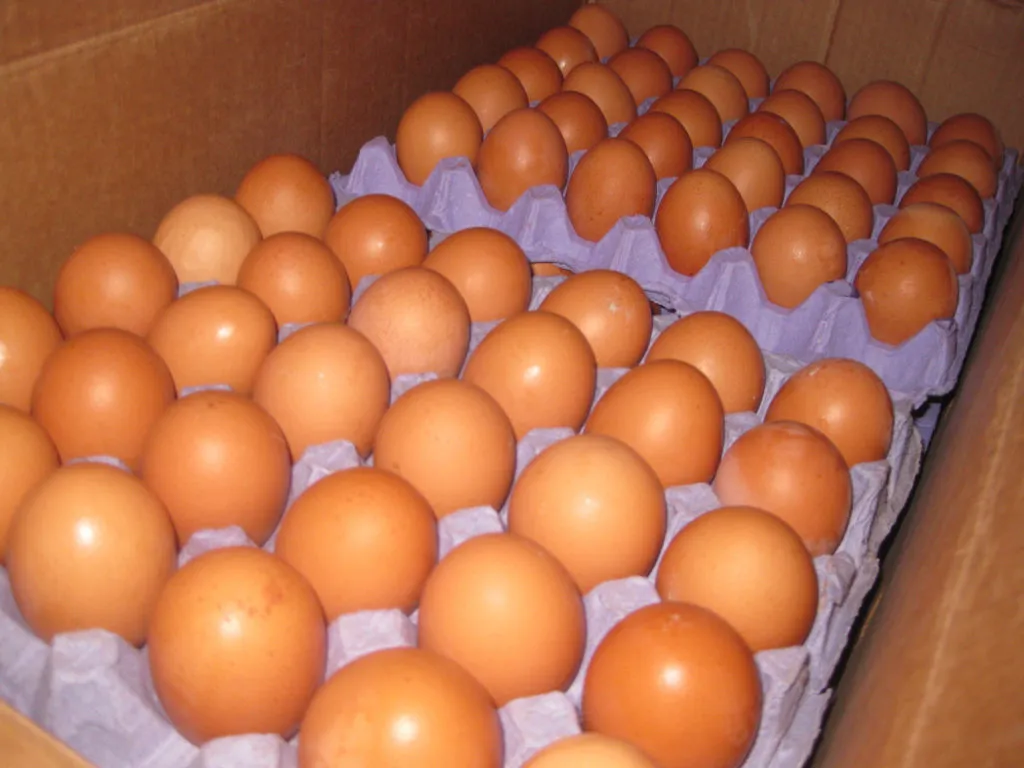 фотография продукта Яйцо оптом от производителя со склада